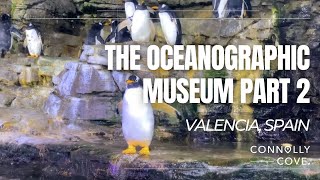 The Oceanographic Museum Part 2 | Valencia | Spain | Spain Attractions | Things to Do in Spain