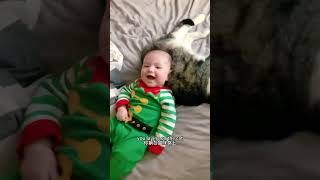 猫咪对人类幼崽竟然如此宽容！