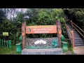 Hiking Adventure in Cameron Highland, Malaysia - Gunung Irau/Mossy Forest