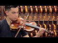 Dario Giovanni Model | Viola Demonstration