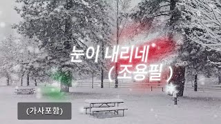 조용필-눈이내리네