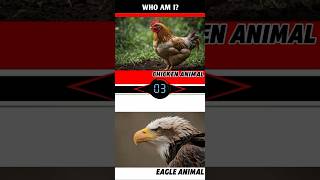 Guess Animals part 3 #education #who am I #short #animals