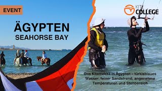 Kitecollege Kitesurfen lernenI Seahorsebay / Ägypten / Kitecamp, Kitereise, Kiteevent, Kiten lernen