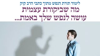 איך מתחברים לנשמה | ביקורת עצמית זה טוב או רע | שיעור 14 | תורת הנפש על פי הרב קוק | אהרן דרמון