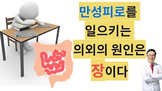 만성피로를 일으키는 의외의 원인은 장이다. 장건강을 잡아 만성피로 극복하기