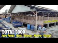 PETERNAKAN KAMBING TERBESAR DI LAMPUNG. EB FARM 3000 EKOR