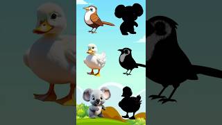 Funny shorts | Guess the animal shadow #cartoon #animation #animals