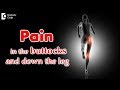 What causes pain in the buttocks and down the leg? Treatment - Dr. Mohan M R | Doctors' Circle