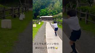 【爆笑】ダンソン少年👦公園で出会ったアヒル達に挑む　#shorts  #おもしろ映像 #バンビーノ #ダンソン #どこでもダンソン