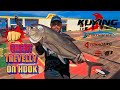 Strike GT Mega Size | Ikan Cupak Monster Vs Rod Kuying Vitamin Sea