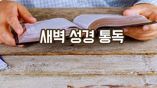 빌립보서 1장-4장 온라인 새벽성경통독