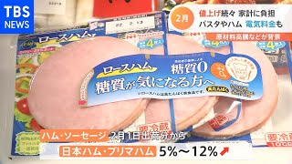 ２月の値上がり 冷食・ハム・醤油など食品ほか電気・ガスも 家計を直撃