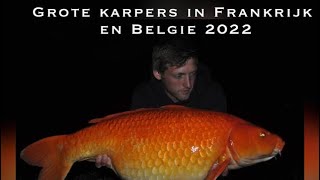 +20kg en +25kg karpers in FRANKRIJK en BELGIE 2022 - Maes Carp Baits