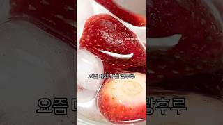 요즘 유행하는 얼음탕후루! 제로탕후루🍓 맛은 기대하지마세요ㅎㅎ 얼음코팅으로 식감이 재밌어요