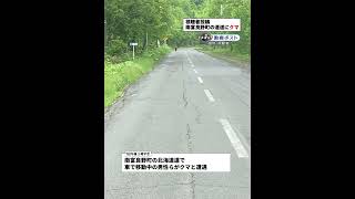 【視聴者投稿】北海道南富良野町　路上にクマが…