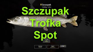 Russian Fishing 4 : Ladoga / spot Szczupak trofka / Poradnik PL