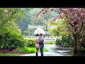 Victoria Nadine - Summer Rain (Lyrics)