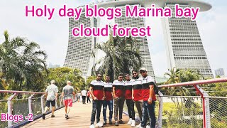 Singapore cloud forrest in Marina bay all my friend  @ Singapore