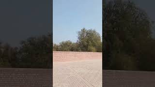 Village of Harappa #shorts #enjoy #travel #village #youtubeshorts