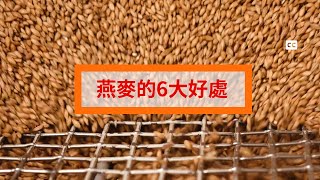 燕麥的6大好處(健康養生之道)Six benefits of oats (health regimen)#燕麥#健康養生#膠原病