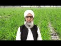 use of fertilizers at second irrigation in wheat crop crop reformer