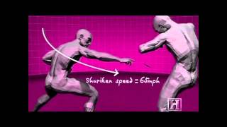 Human Weapon Ninjutsu