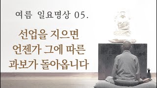 선업을 지으면 언젠가 그에 따른 과보가 돌아옵니다ㅣ여름 일요명상 5.ㅣ제따와나선원 2023.07.02.