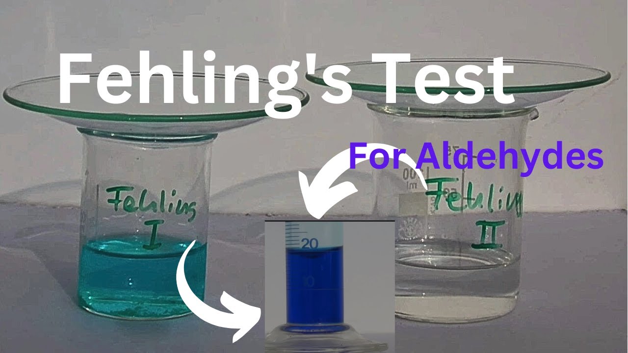 Fehling's Test For The Aldehydes | Class 12th Chemistry Aldehydes ...