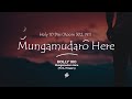 Holly 100 ft DJ Towers - Mungamudaro Here (Lyrics)