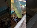 we engraved our first stanley this weekend and it turned out awesome check it the full video next