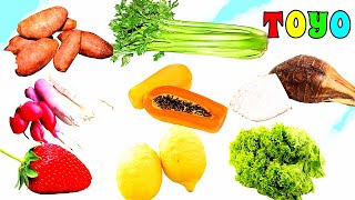 Vegetables Name in English | Vegetables Name | -TOYO