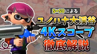 【S＋50が解説】4分で分かるユノハナ大渓谷のリッター4K【ステージ解説】