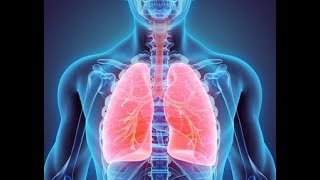 ELISA for Pulmonary Disease Biomarkers | BioVendor #11