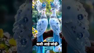 लोक म्हणतात प्रेम नाही मिळालं #motivation @Puja_production