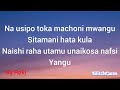 Rayvanny-X-Marioo_-_Te Quero (lyrics)