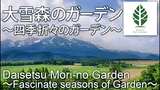 【JGN】大雪森のガーデン『四季折々のガーデン』