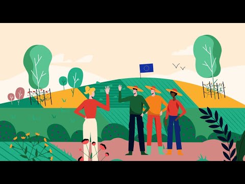 What order did countries join the EU?