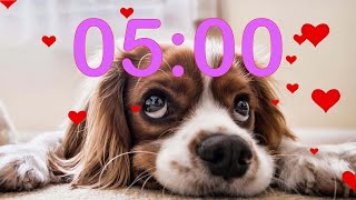 5 Minute 💗 Valentine's Day 💗 Puppy Dog Countdown Timer