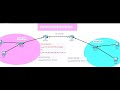 27. Static and Default Route Configuration Using Packet Tracer | Static and Default Routing