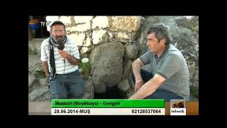 Teberik - Ali Şeker - Muskan Beşikkaya Gımgım Varto Muş 31 07 2014