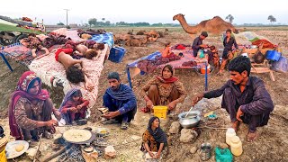 Desert Camel People Morning Routine in Hot Summer | Nomadic Lifestyle | Culture of Pakistan