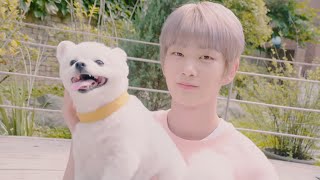 흰둥이 창욱이와 찐 강아지의 케미❣🐶 | [CHARACTER FILM] 캐해의 서막 : 주창욱