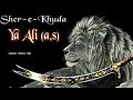 Mera Moula Haider |Hazrat Ali Attitude Status| Sher e khuda🦁|Hazrat Ali Whatsapp status#minishorts#m