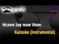 ncaws tag mam tham - duab ntxoo yaj karaoke (Instrumental)