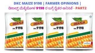 DKC MAIZE 9198 | FARMER OPINIONS | ಡಿಕಾಲ್ಬ್ ಮೆಕ್ಕೆಜೋಳ 9198 ರ ಬಗ್ಗೆ ರೈತರ ಅನಿಸಿಕೆ PART2