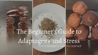 The Beginners Guide to Adaptogens and Stress (And 5 recipes to get you started!)