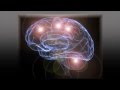 Muscle Memory Explained