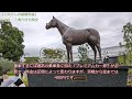 【大阪から京都競馬場】googleマップより詳しい！行き方・入場方法を解説