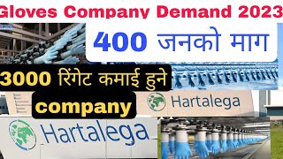 Hartalega Gloves Company Demand 2023 Nepal. महिनाको ३००० रिंगेट सम्म कमाई हुने कम्पनी डिमान्ड।