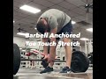 barbell anchored toe touch stretch trainlikethepros